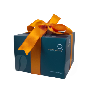 Opera Waiting Panettone Glassato alla Mandorla 200g 