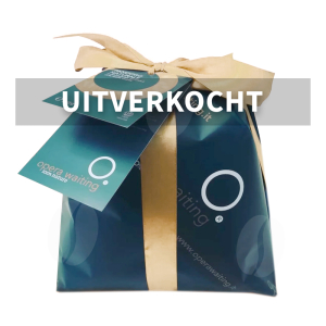 Opera Waiting Pandoro Naturale 750 g