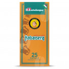 Passalacqua Habanera cups