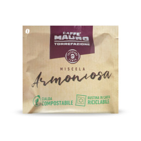 Mauro Amantea (Armoniosa) ESE Serving