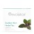 Revolution Tea Southern Mint Herbal