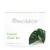 Revolution Tea Tropical Green